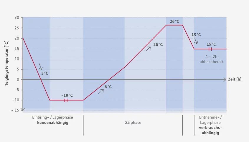 Temperaturverlauf eines Teiglings