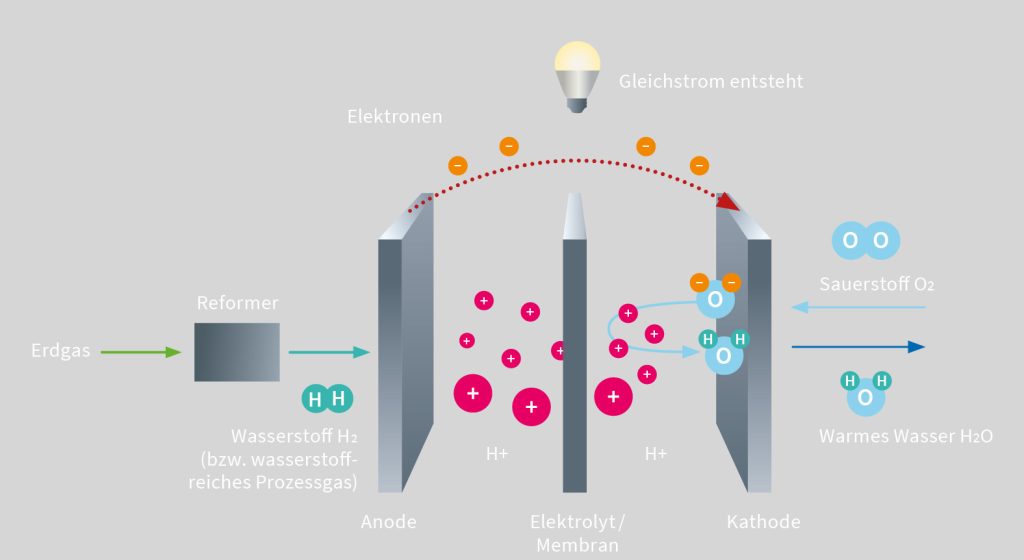 Schema Funktion Brennstoffzelle