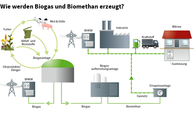 Schema zur Erzeugung von Biogas und Biomethan: Abfall- und Reststoffe sowie Mist und Gülle werden in einer Biogasanlage zu Biogas verarbeitet. Das Biogas wird in Blockheizkraftwerken (BHKW) zur Strom- und Wärmeerzeugung genutzt oder in einer Aufbereitungsanlage zu Biomethan veredelt. Biomethan wird ins Gasnetz eingespeist und dient als Kraftstoff, Industrie-Energiequelle oder Heizenergie für Haushalte.